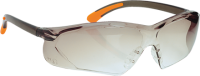 Portwest Fossa Schutzbrille EN166 in vers. Farben