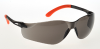 Portwest Pan View-Schutzbrille in vers. Farben