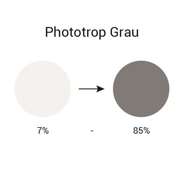 Infield Tönung Phototrop Grau