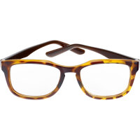 Bollé Safety Spicy Schutzbrille mit Sehstärke...